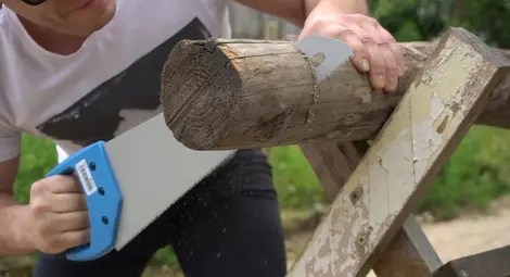 Две дузини смели мъже и жени правят русенски &bdquo;Сървайвар&ldquo; и &bdquo;Фермата&ldquo;