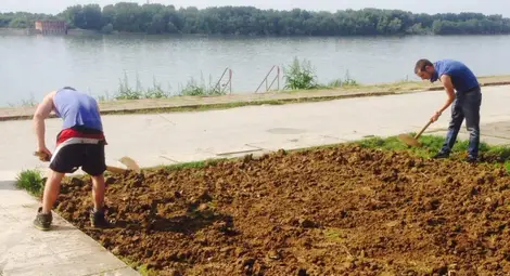 Организаторите на тарлата почистиха и озелениха кея