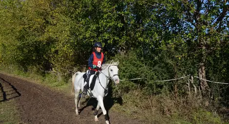 БТБ с призови места в тежко изпитание за ездачи и коне