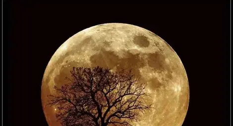 Хората наистина спят лошо при пълнолуние Хората наистина спят лошо при пълнолуние