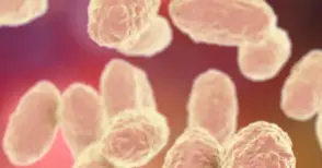 13 случая на коклюш в Русенско от началото на годината досега