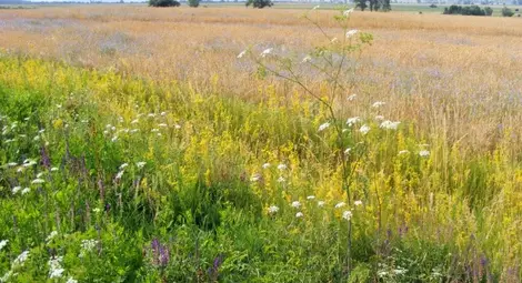 Сделките с ниви блокирани в почти цялата страна