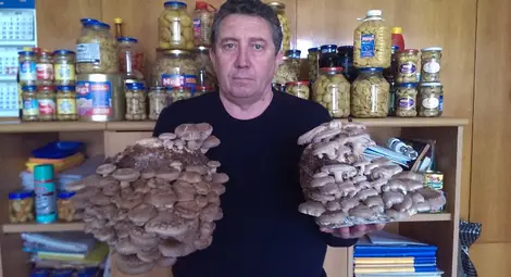 Екзотичните гъби от Красен  ще бъдат представени в Румъния