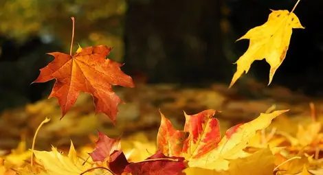 Температури от минус 8 до 20 градуса през ноември