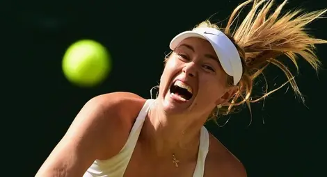 Скандали с пъшкането в тениса, Возняцки съзря сексизъм