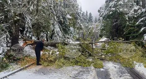 Снимка: БТА