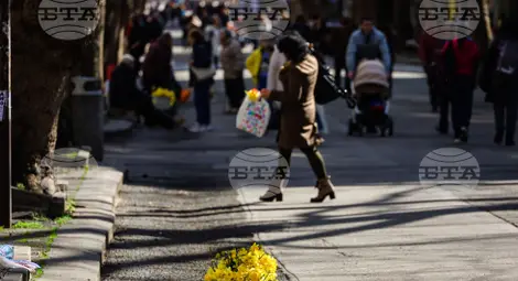 Снимка: БТА Снимка: БТА