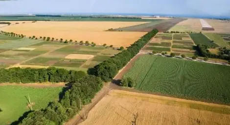 Очакват ръст с 5-10% годишно на цената на земята и рентите