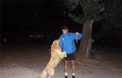 Бивш военен на 45 г. хванал дружелюбния ретрийвър Цезар на улицата и го застрелял в тила