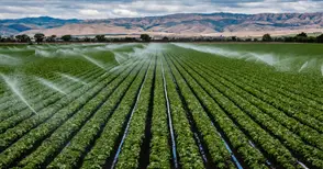 Земеделските стопани кандидатстват за помощ за напояване от 21 август