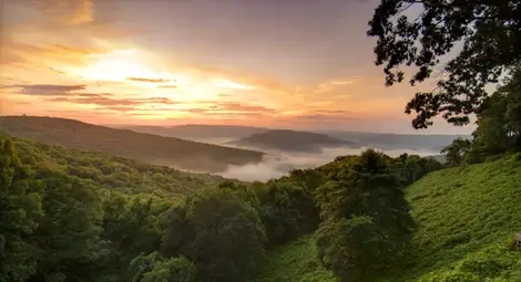 Този регион в САЩ ще ви плати $10 000, за да се преместите там