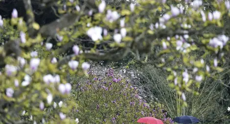 Летни температури до петък, после - дъжд