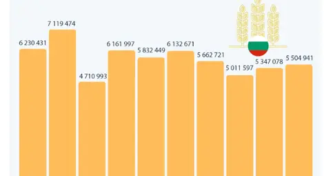 Колко пшеница се произвежда в България