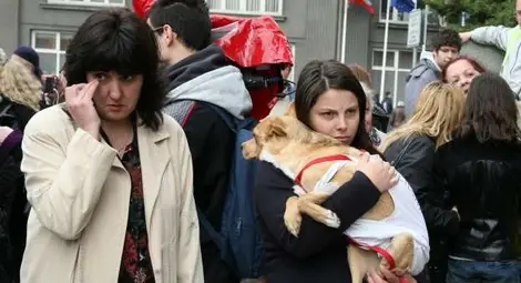 Град връща кучешки фекалии на стопаните на четириногите