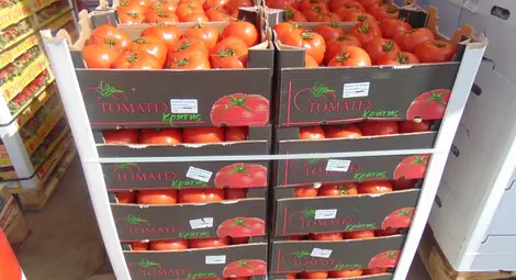 Областен център ще изкупува  плодове и зеленчуци за &bdquo;Метро&ldquo;