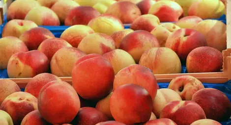 Дунавските овощари искат обратно  начисляване на ДДС за плодове и зеленчуци