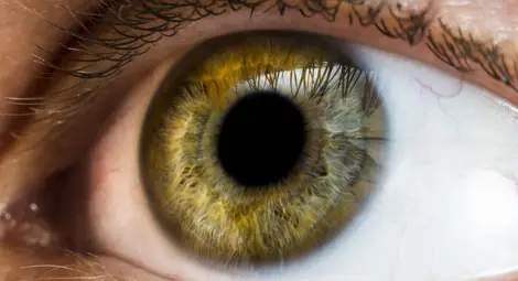 Учени: Размерът на зениците издава интелекта