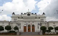 Цецка Цачева дава четвърт милион лева за устройства за безжичен интернет