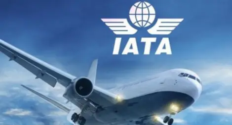 IATA: Спад на международния пасажерски трафик с 89% през февруари