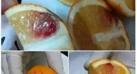 Нова заплаха: Джихадисти боцкат портокали със спинозна кръв!