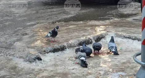 Снимка: БТА Снимка: БТА