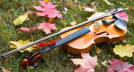 Жена намери цигулка за 100 000 евро до кофа за боклук Жена намери цигулка за 100 000 евро до кофа за боклук