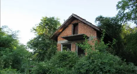 Снимка: Русе Медиа Снимка: Русе Медиа