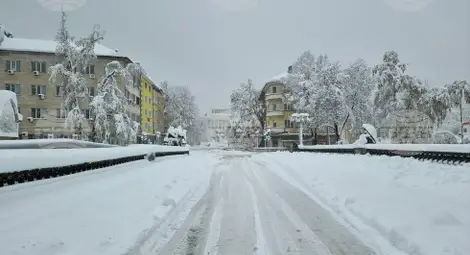 Снимка: БТА Снимка: БТА