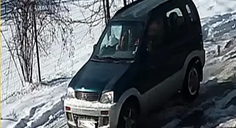 Районна прокуратура се самосезира за случая с простреляното куче в Общински приют за безстопанствени животни – Русе Районна прокуратура се самосезира за случая с простреляното куче в Общински приют за безстопанствени животни – Русе