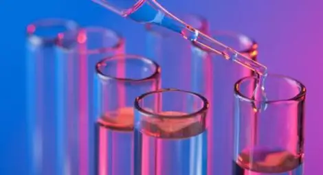 Хиляди българи се цанят за опитни мишки