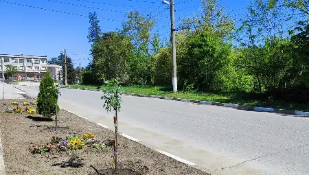 Нови цветни градини променят облика на Караманово /галерия/