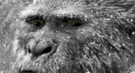 Откриха изчезнал преди 50 години труп на Йети