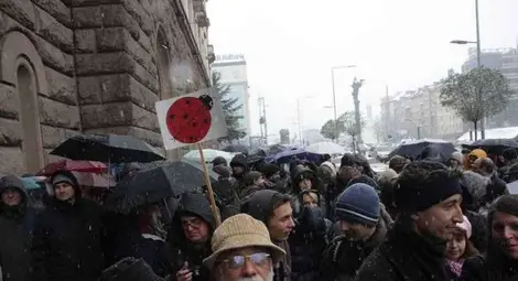 Учени протестират с гнили домати и изцапано бельо /галерия/