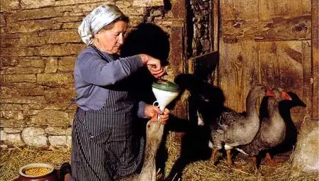 Деликатес за фараони и крале