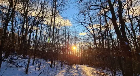 Слънчева събота, с температури до 13 градуса