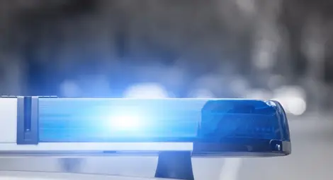 Изплашен Ромео скочил по неволя от 6-ия етаж на блок във Велико Търново