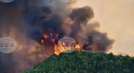 Снимка: БТА