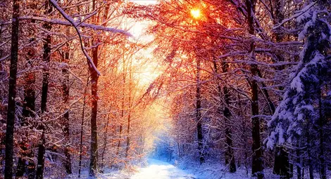 НИМХ: Утре ще бъде слънчево, с максимални температури от 1 - 2&deg; в Североизточна България до 9 - 10&deg; в крайните югозападни райони