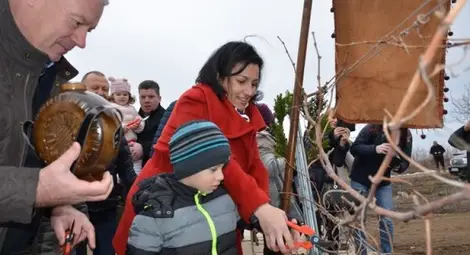 Земеделският министър Десислава Танева заряза лозята в Нисово. Снимка: Авторът Земеделският министър Десислава Танева заряза лозята в Нисово. Снимка: Авторът