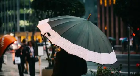 Слаб дъжд в цялата страна, в планините ще падне още сняг