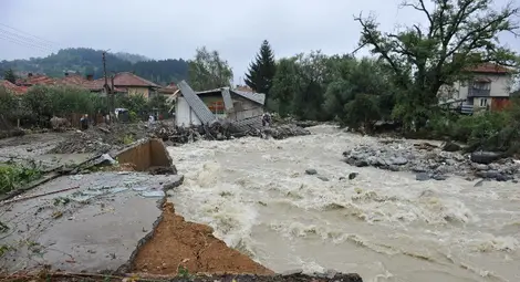 Пострадали в Берковица: Безразборна сеч е причинила наводнението - снимки от поредната трагедия