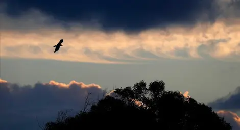 Интензивни валежи в Западна и Централна България