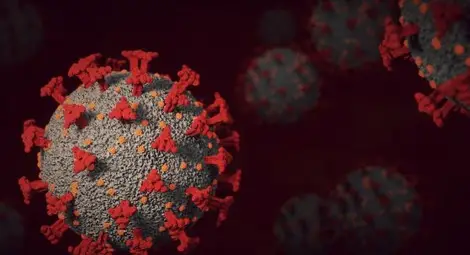 Внушителен скок на новите COVID случаи: 3449 за 24 часа Внушителен скок на новите COVID случаи: 3449 за 24 часа