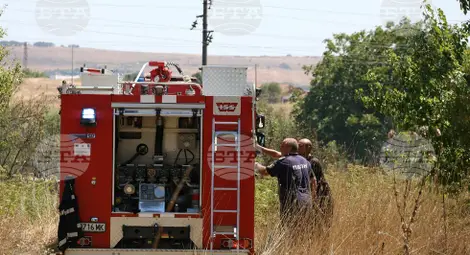 Снимка: БТА Снимка: БТА