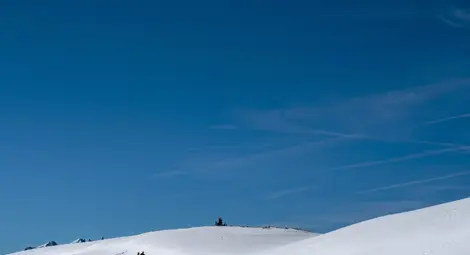 Обясниха необичайно топлата зима