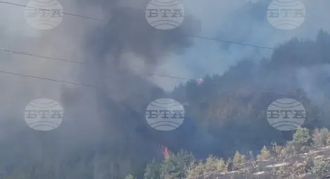 Снимка: БТА