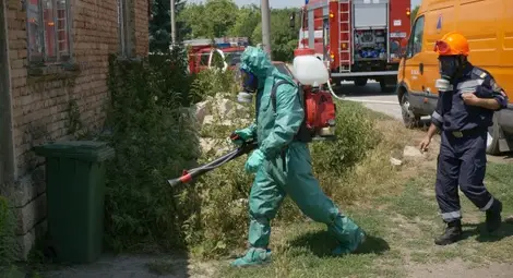 Възрастна жена почина от антракс в Добричко