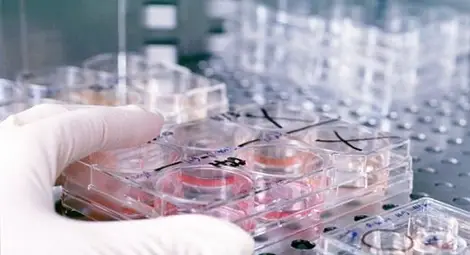 Тяло на починала 115-годишна жена подсказва пътя към безсмъртието