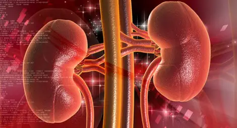 &bdquo;Медика&ldquo; се включва в кампания срещу тихата епидемия от хронично бъбречно заболяване