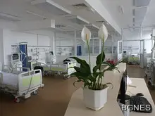 Джипито ще ни лекува по телефона